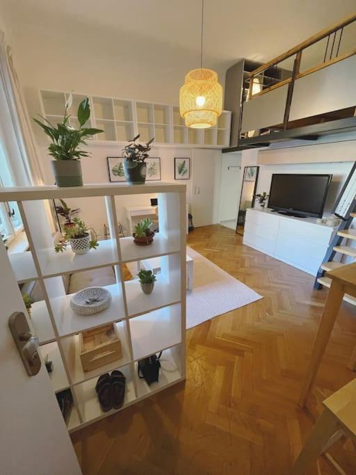 Stefanka Apartment Old Town Братислава Екстериор снимка